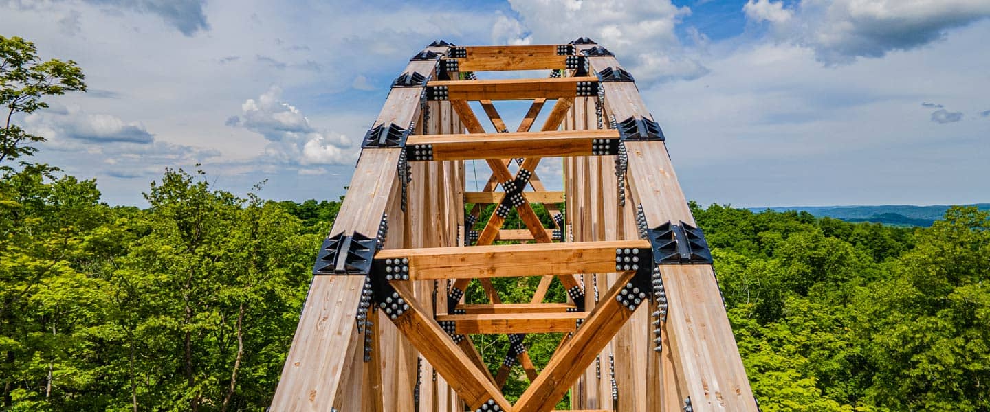 SkyBridge Michigan tower