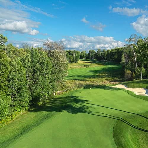 The Preserve course, Bay Harbor Golf Club, through beautiful forest